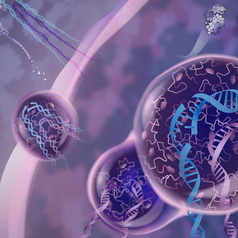 Artist’s depiction of a newly discovered cellular mechanism in which protein droplets safeguard regions of the genome that are notably susceptible to DNA repair mistakes.