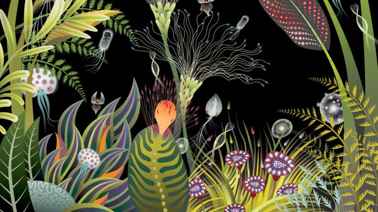 Illustration of microscopic organisms, DNA strands, plants and flowers